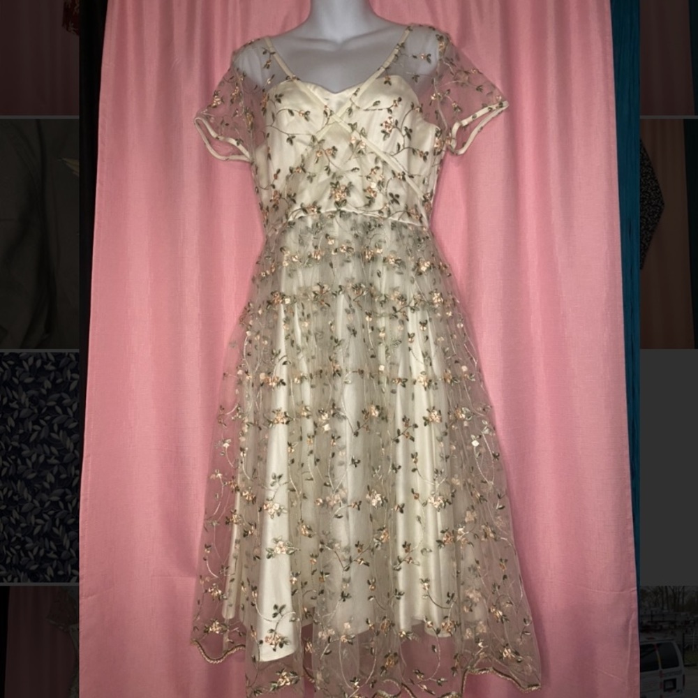Beautiful Collectif pinup gown